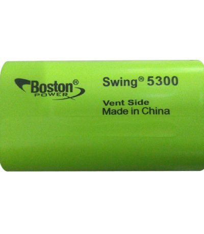 Boston Swing 5300