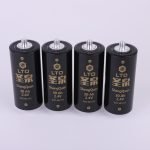 Shengquan 2.4V 30Ah LTO Cylinder Battery
